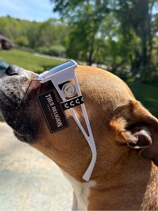 NWT True Religion Sunglasses in White with Purple Lenses - Picture 2 of 8